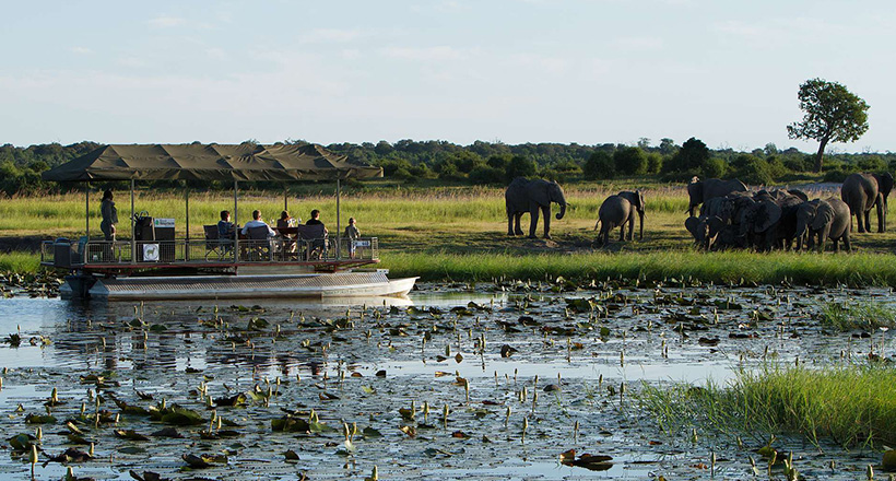 Chobe National Park