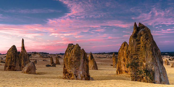 The Pinnacles, Nambung National Park